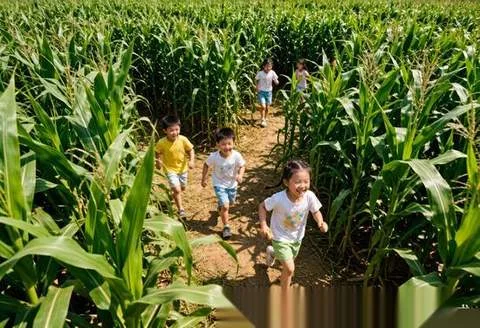 团队定制